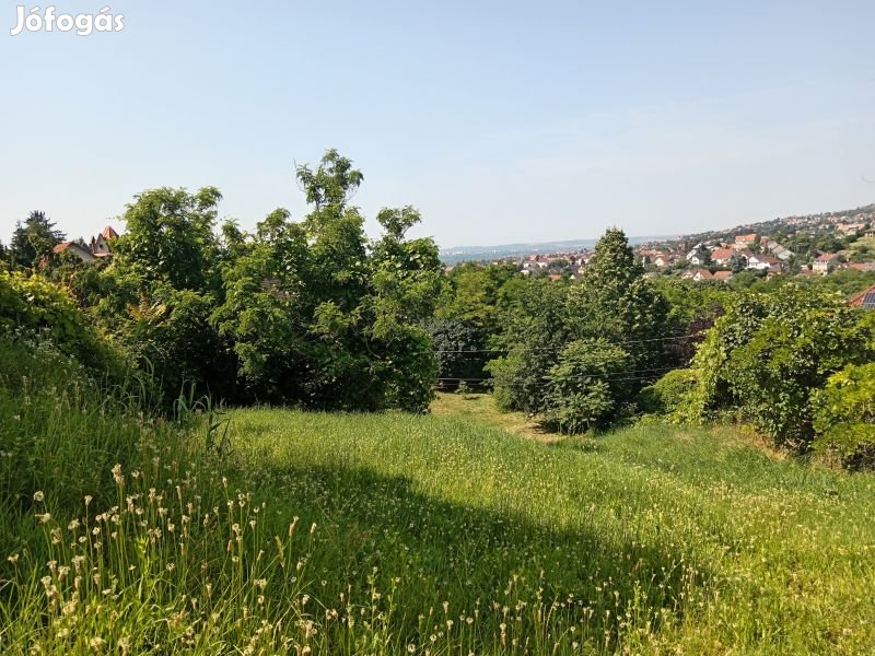 Pécs Papkert utcában építési telek eladó