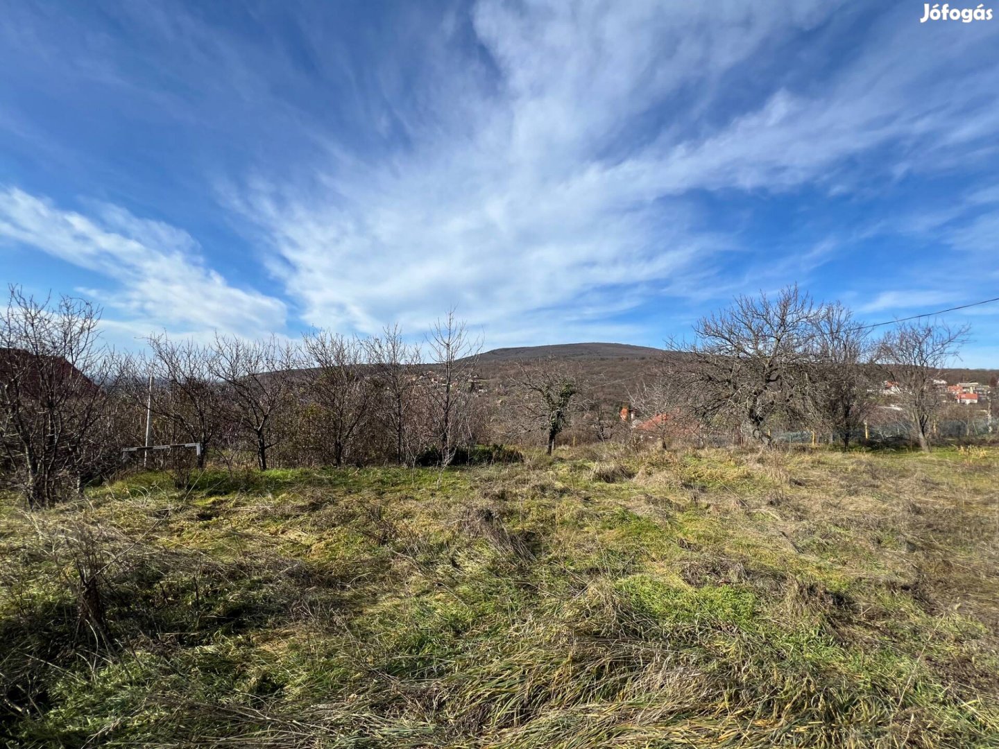 Pécsen 3000m2 telek eladó!