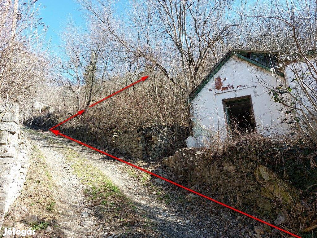 Pécsett Szókóban a Mecsek csendes, gyéren lakott vadregényes