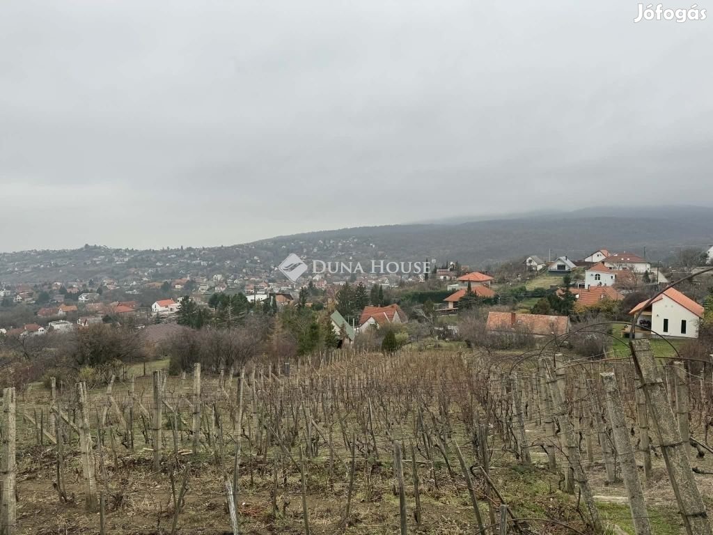 Pécsi eladó 1800 nm-es telek