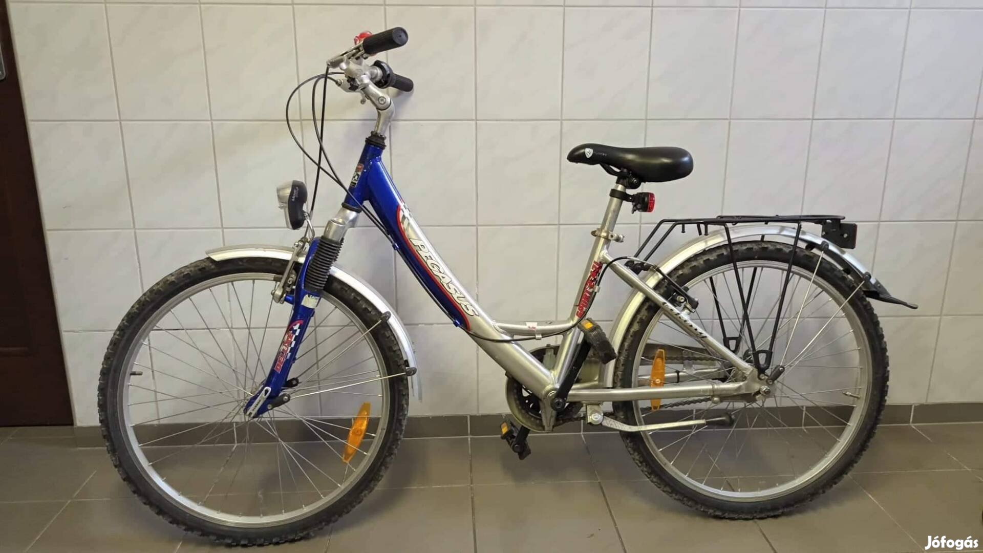 Pegasus 24" gyermek kerékpár 