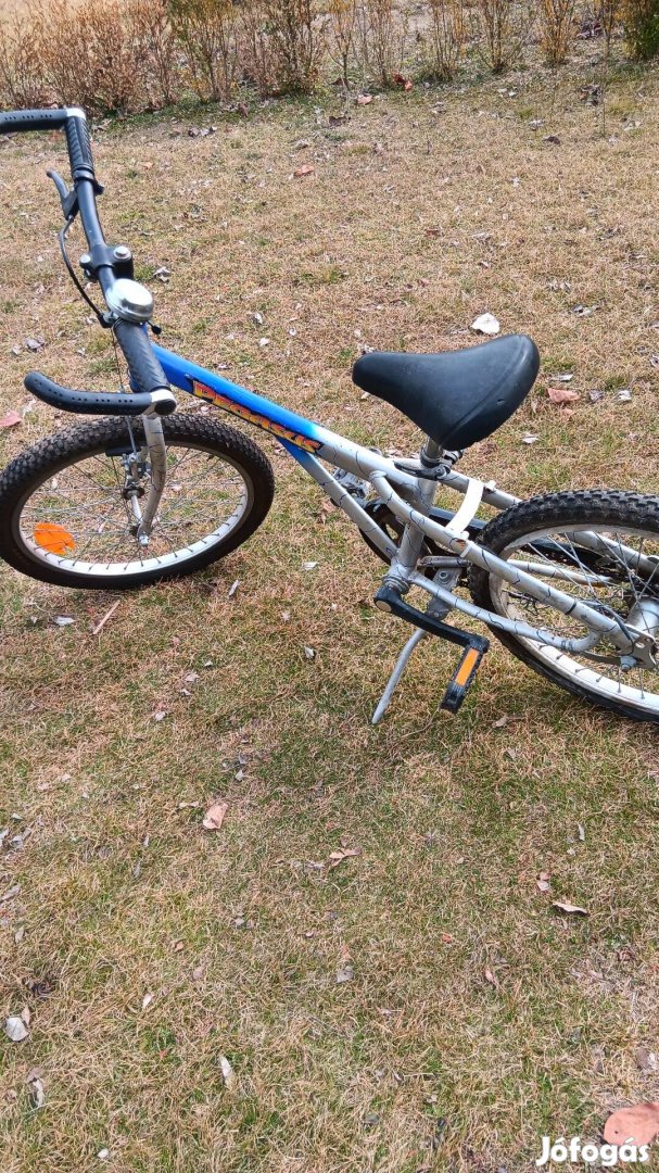 Pegasus MTB 20-as gyerek kerékpár