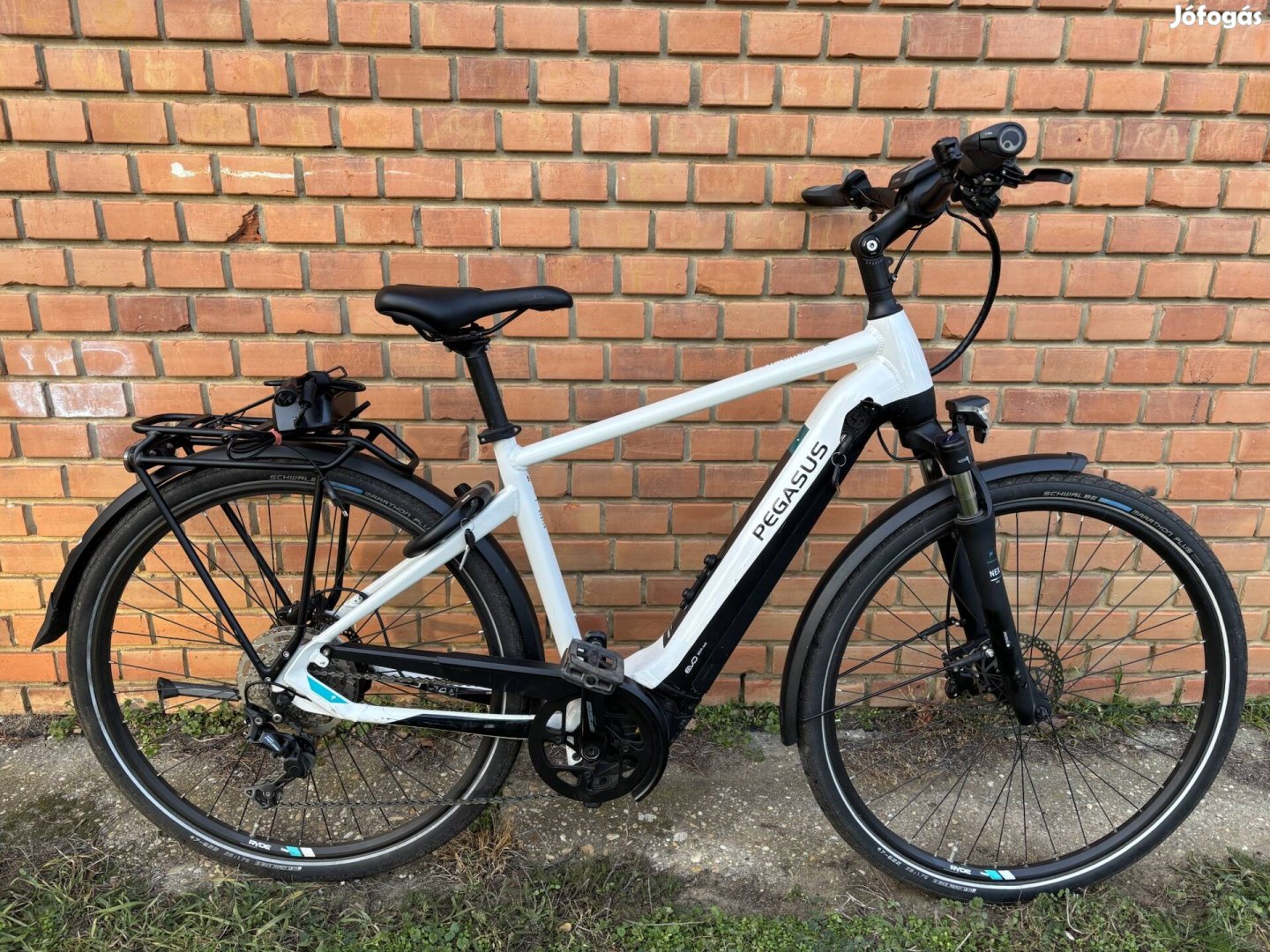 Pegasus Premio Evo 10 LITE ebike, CX motor, 500Wh akku