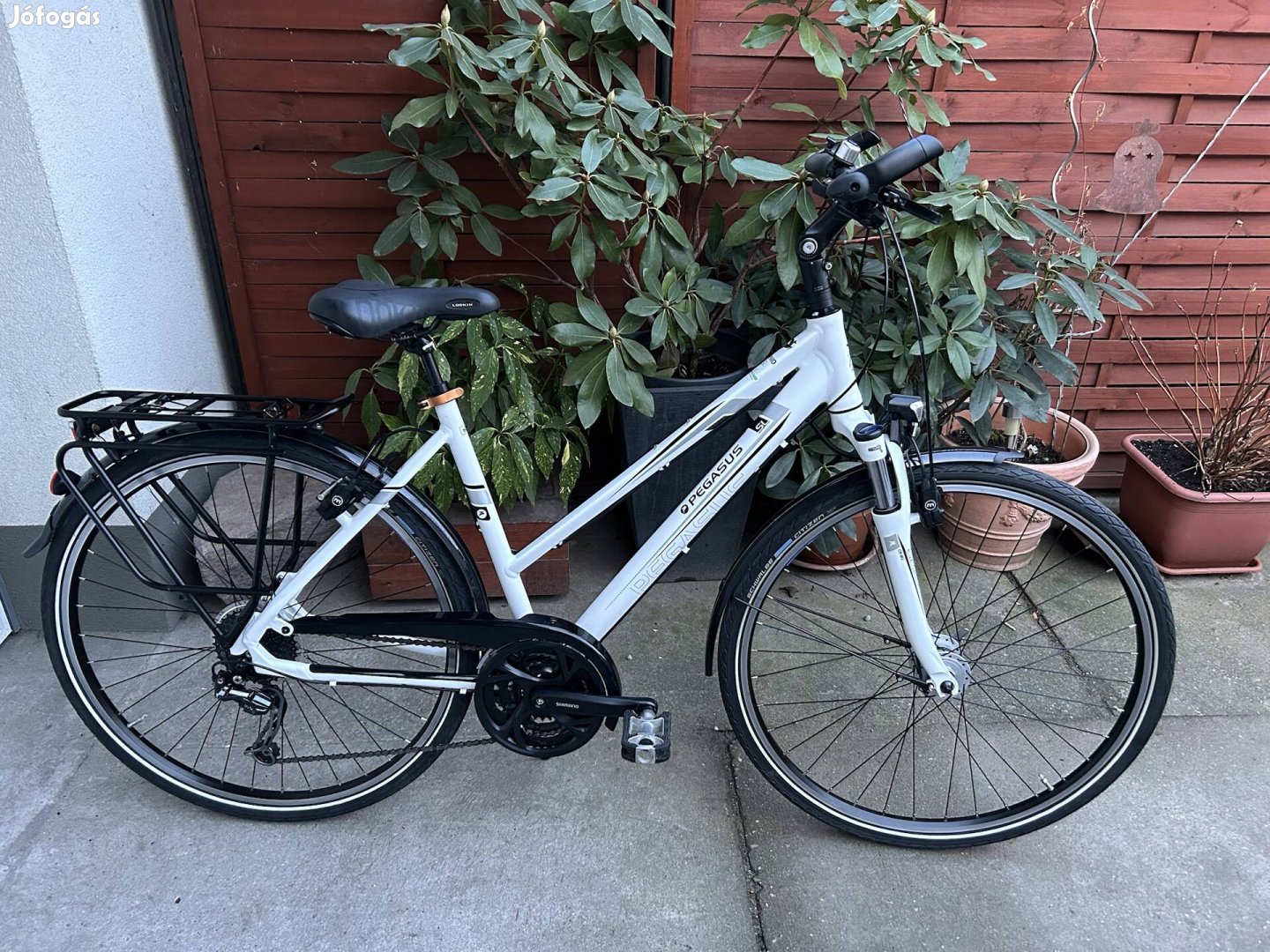 Pegasus Premio SL  28" alu trekking női (50) kerékpár