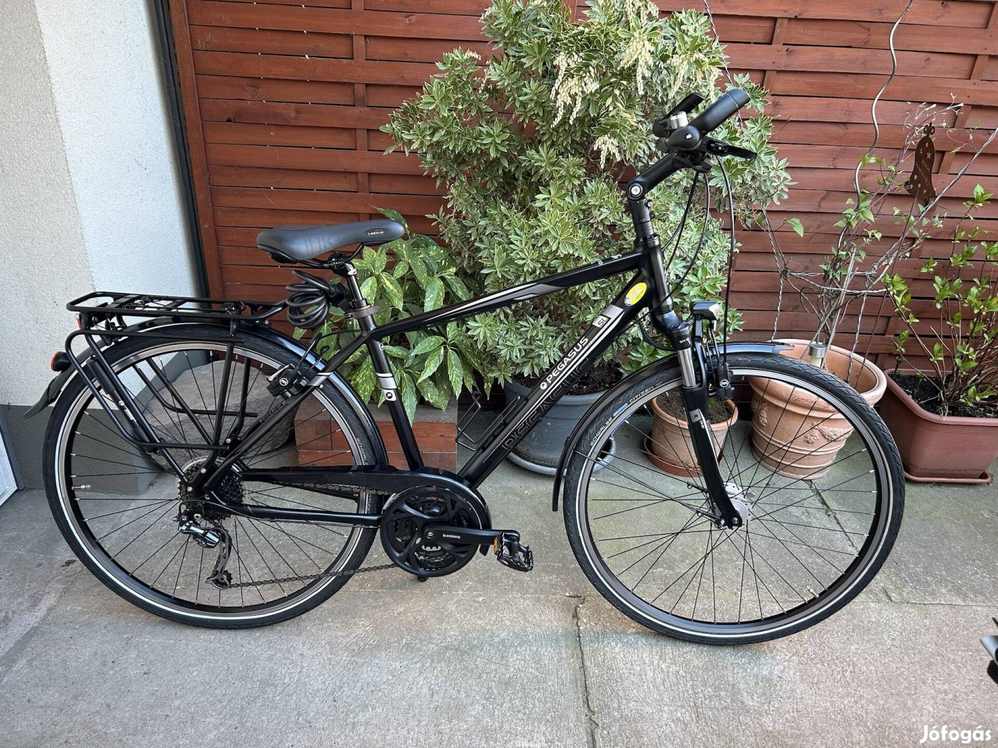 Pegasus Solero SL 28" alu trekking ffi (48) kerékpár 