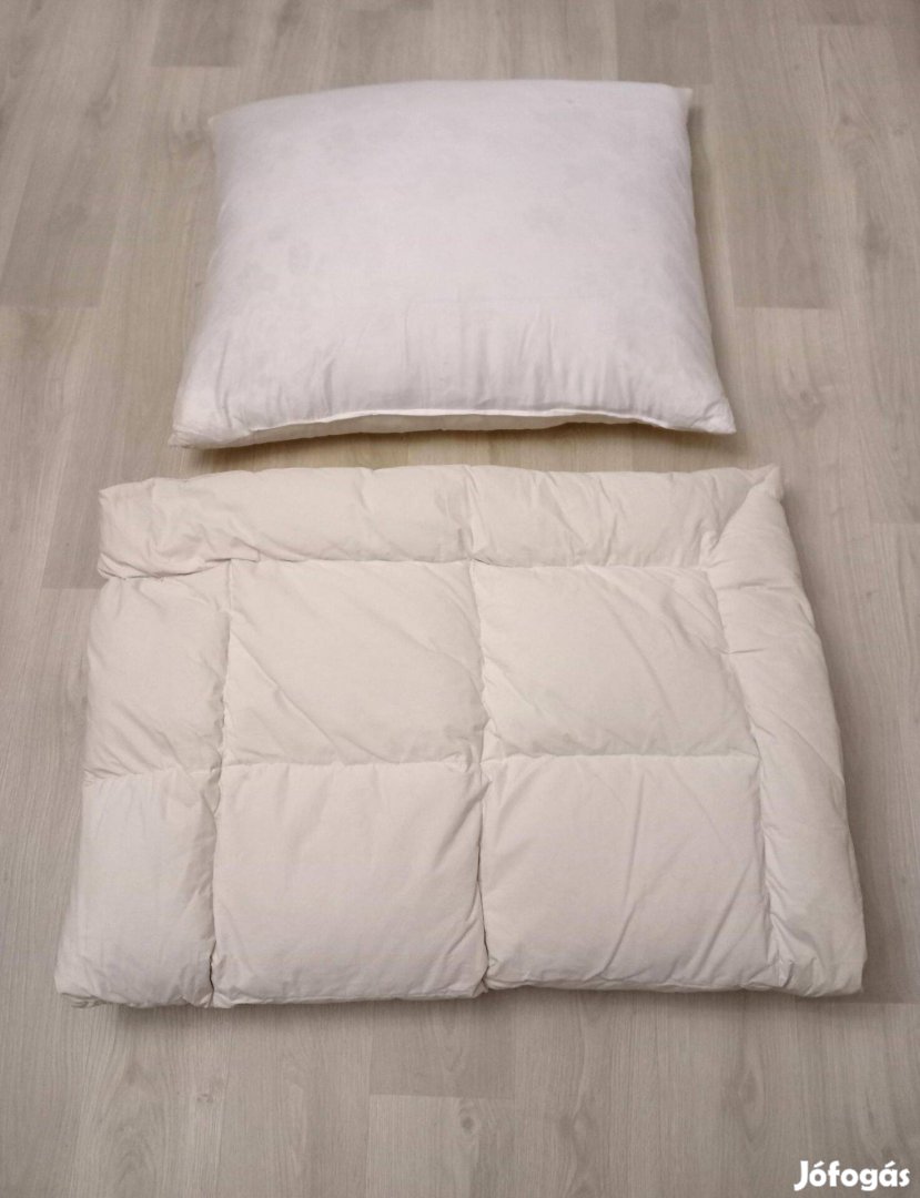 Pehelypaplan, párna