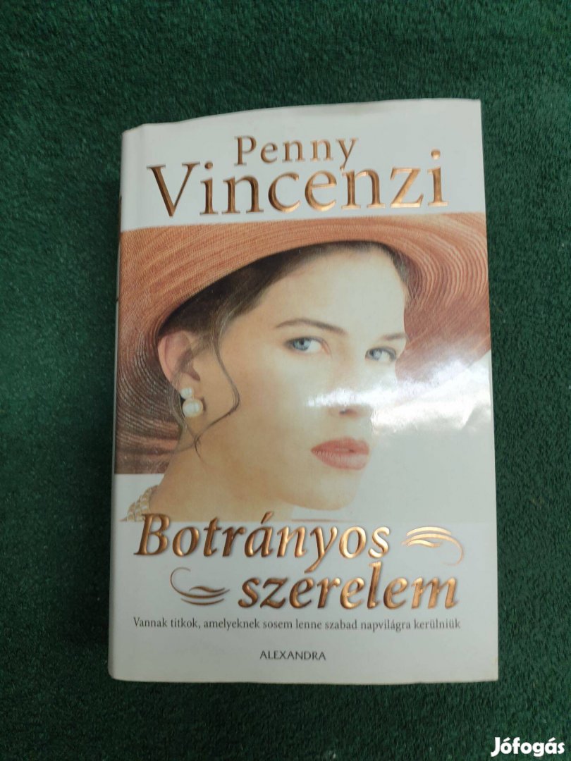 Penny Vincenzi - Botrányos szerelem