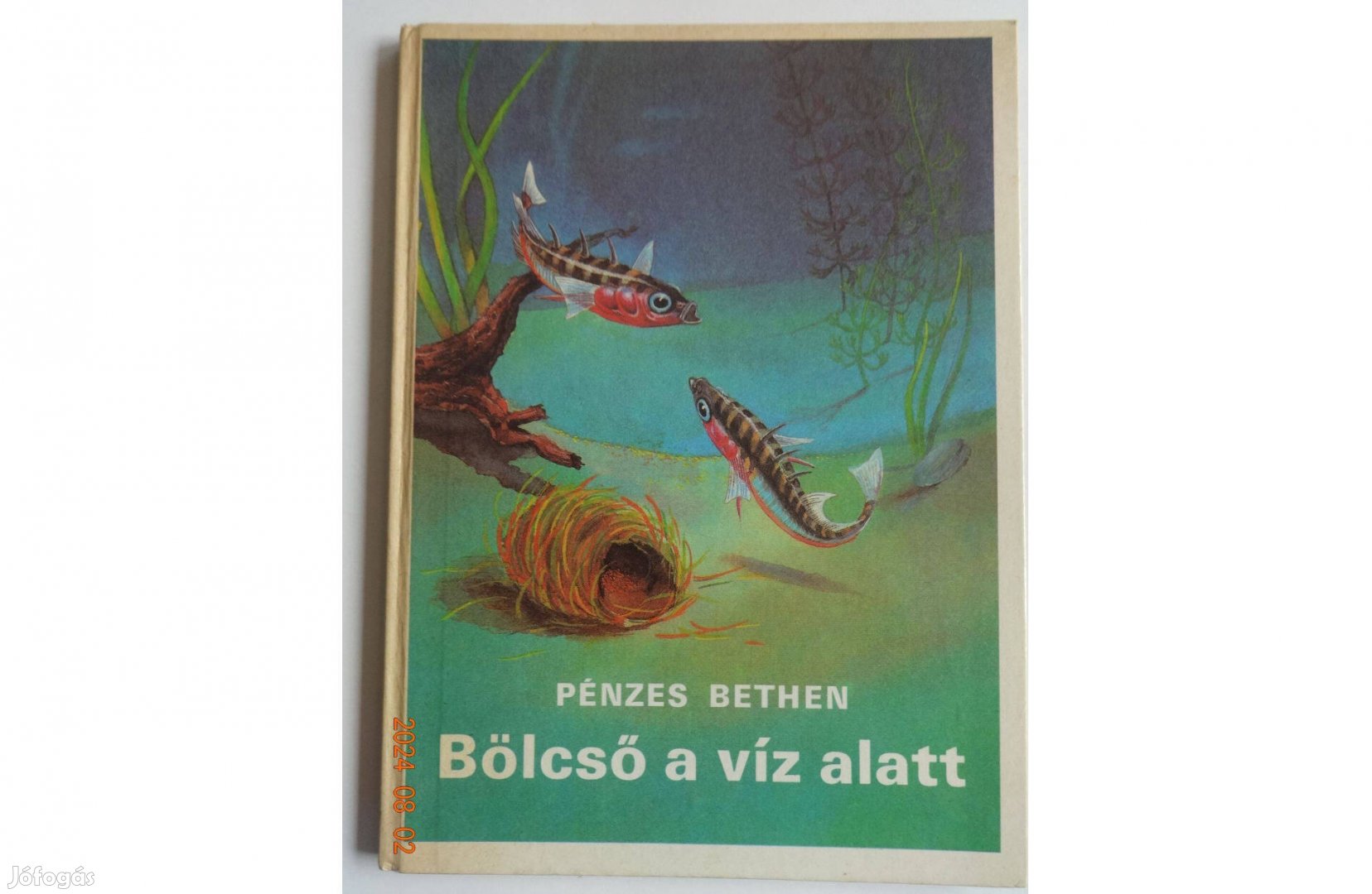 Pénzes Bethen: Bölcső a víz alatt