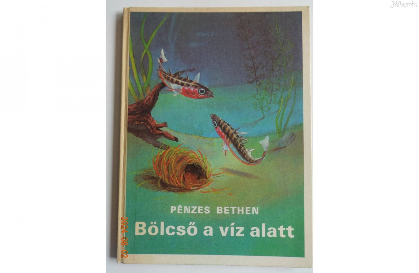 Pénzes Bethen: Bölcső a víz alatt