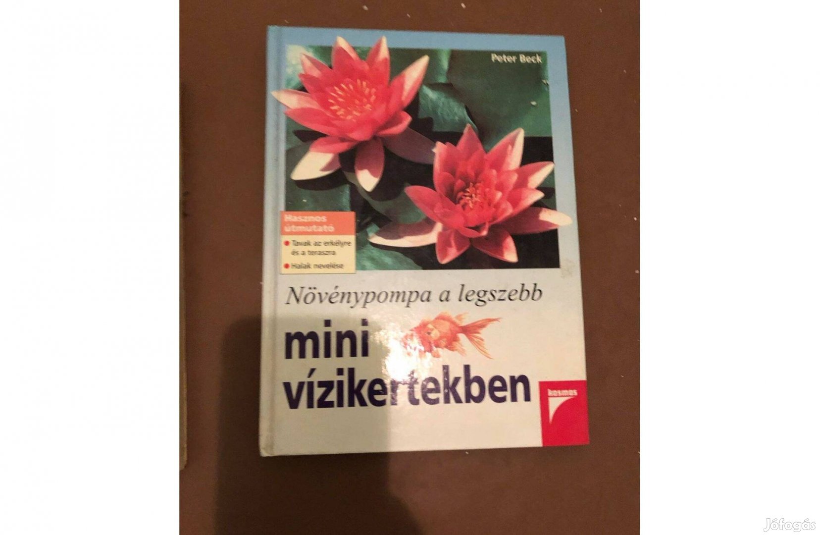 Peter Beck: Növénypompa a legszebb mini kertekben könyv