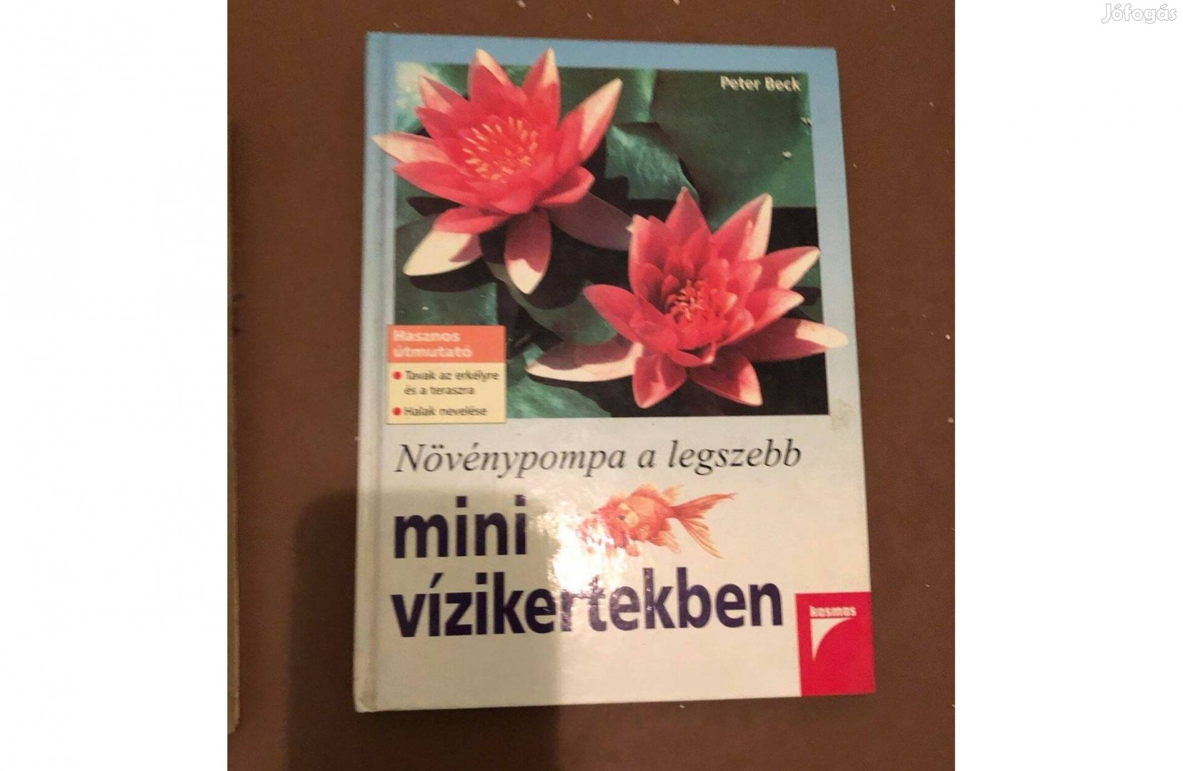 Peter Beck: Növénypompa a legszebb mini vízikertekben könyv