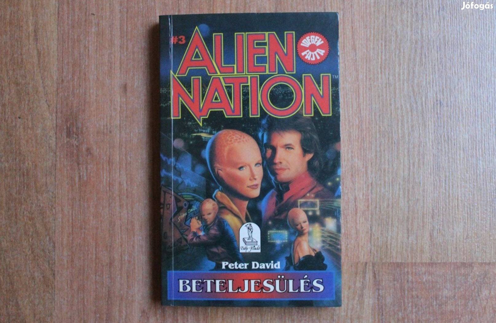 Peter David - Beteljesülés