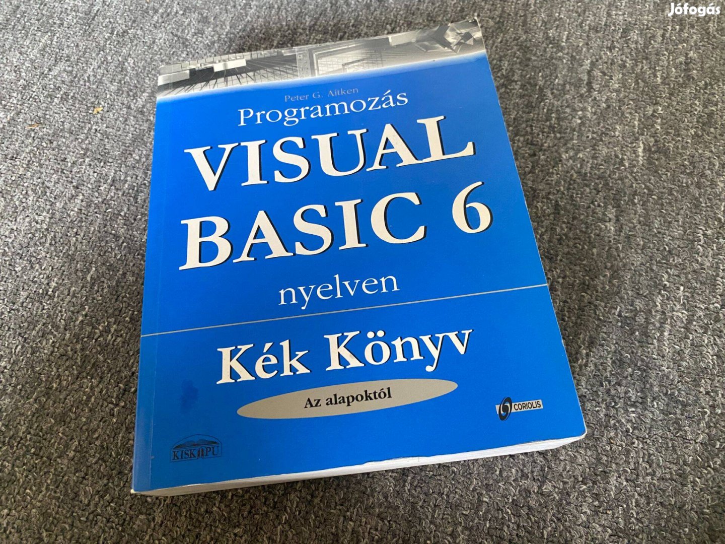 Peter G. Aitken Programozás Visual Basic 6 nyelven Kék könyv