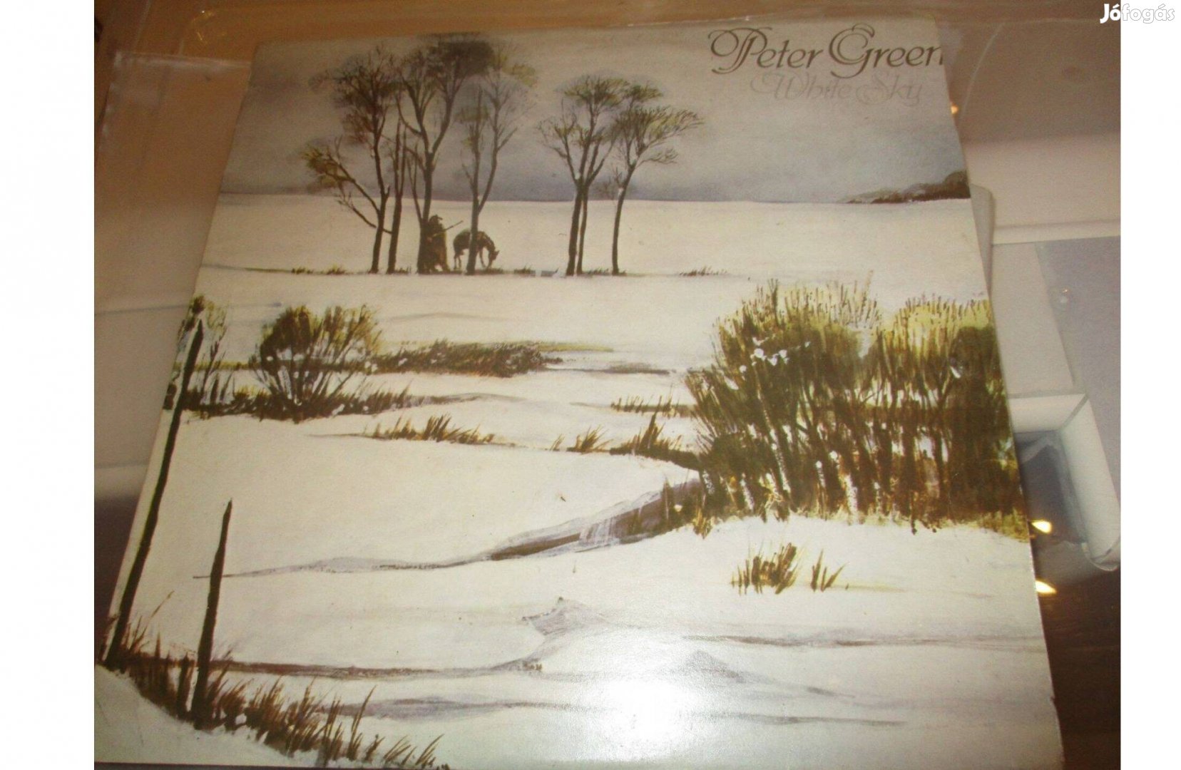 Peter Green LP hanglemez eladó