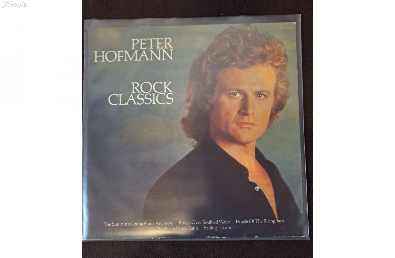 Peter Hofmann - Rock Classics LP