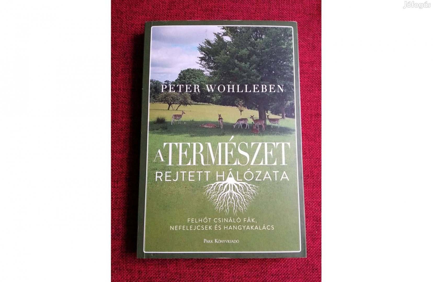 Peter Wohlleben A természet rejtett hálózata