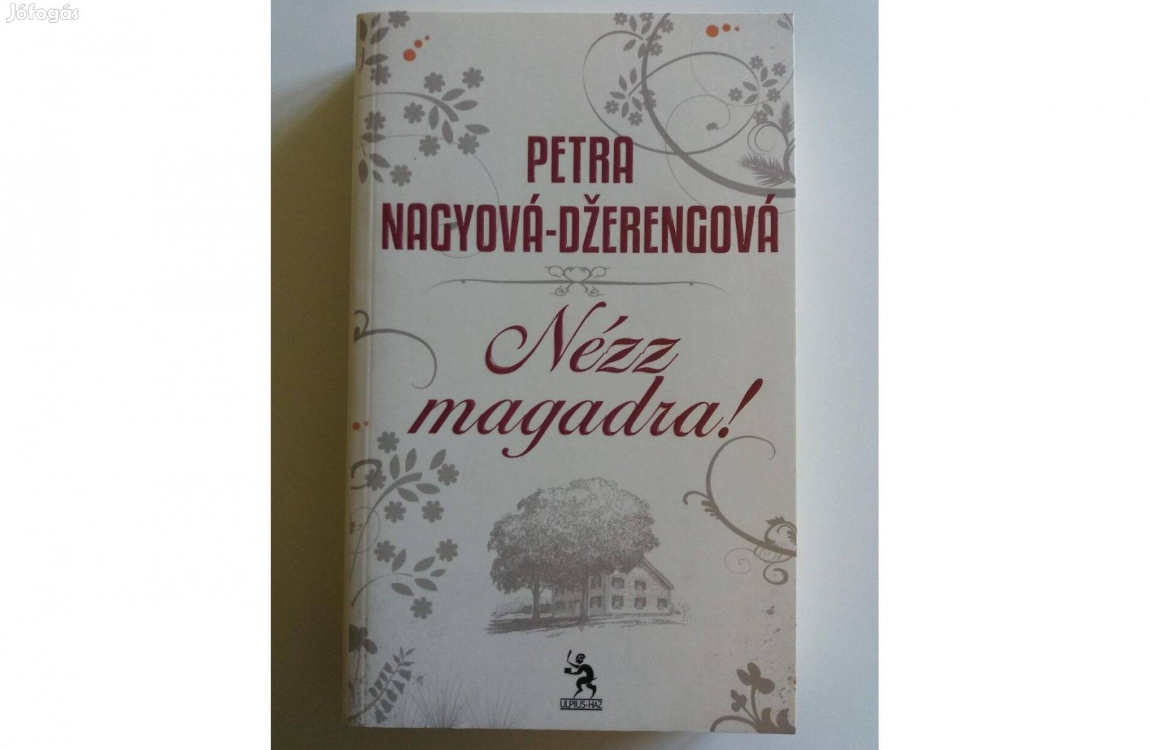 Petra Nagyová - Dzerengová: Nézz magadra!