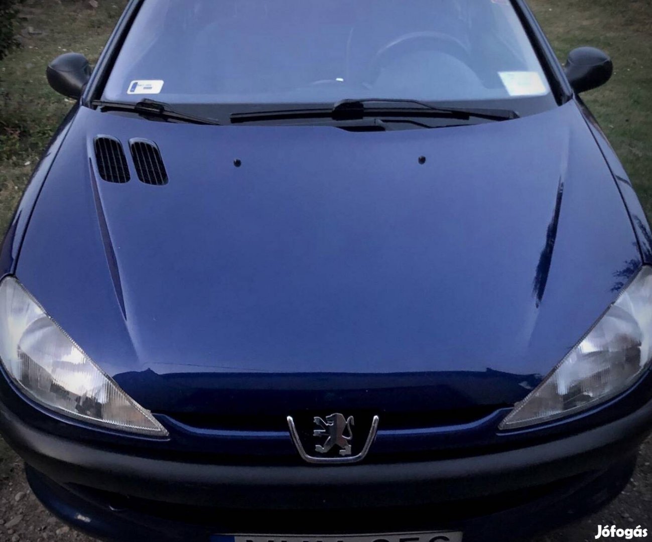 Peugeot 206 1.9 Diesel