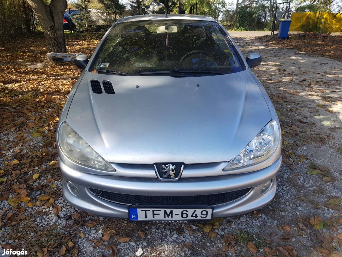 Peugeot 206 CC 1.6