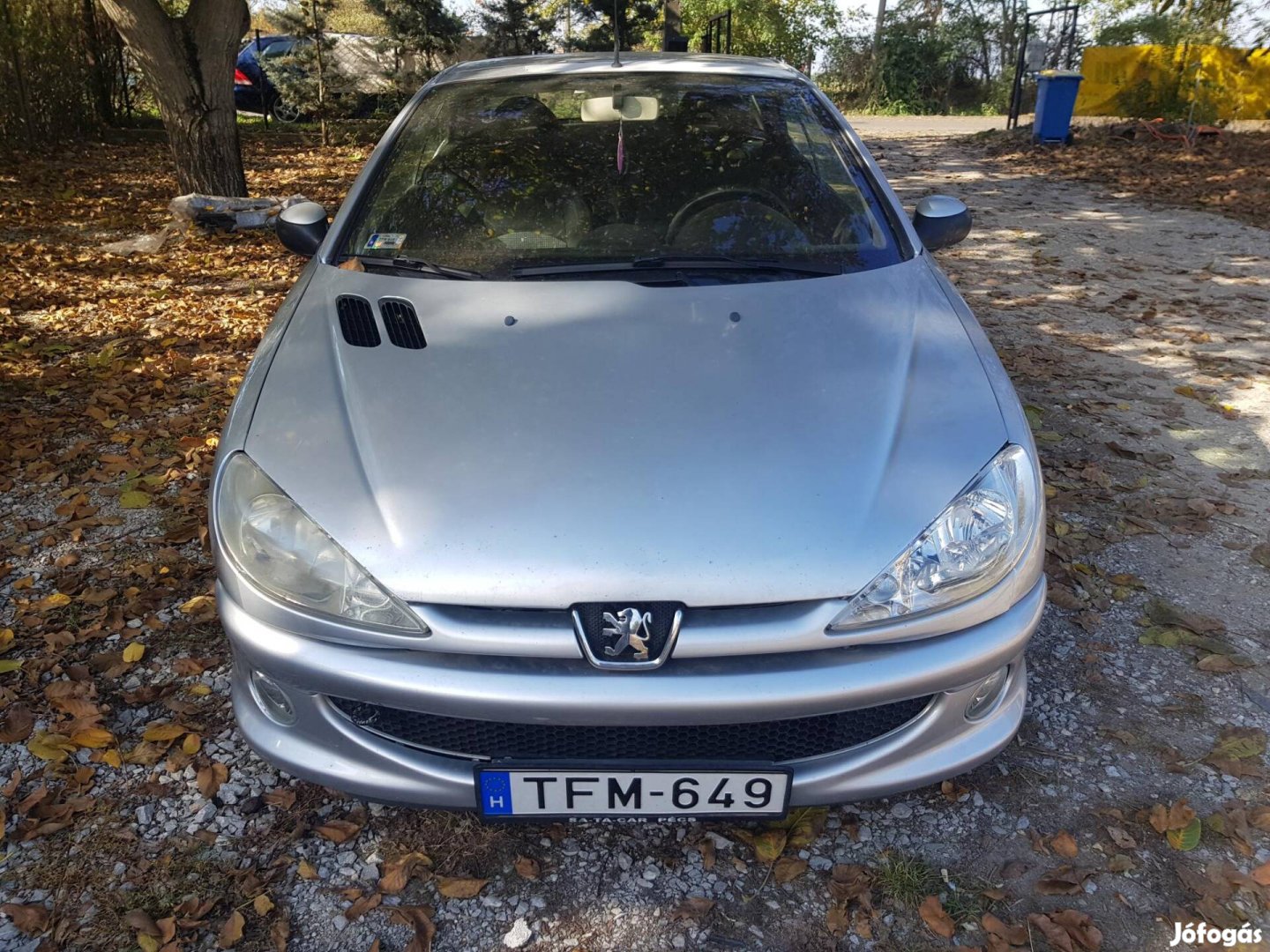Peugeot 206 CC 1.6