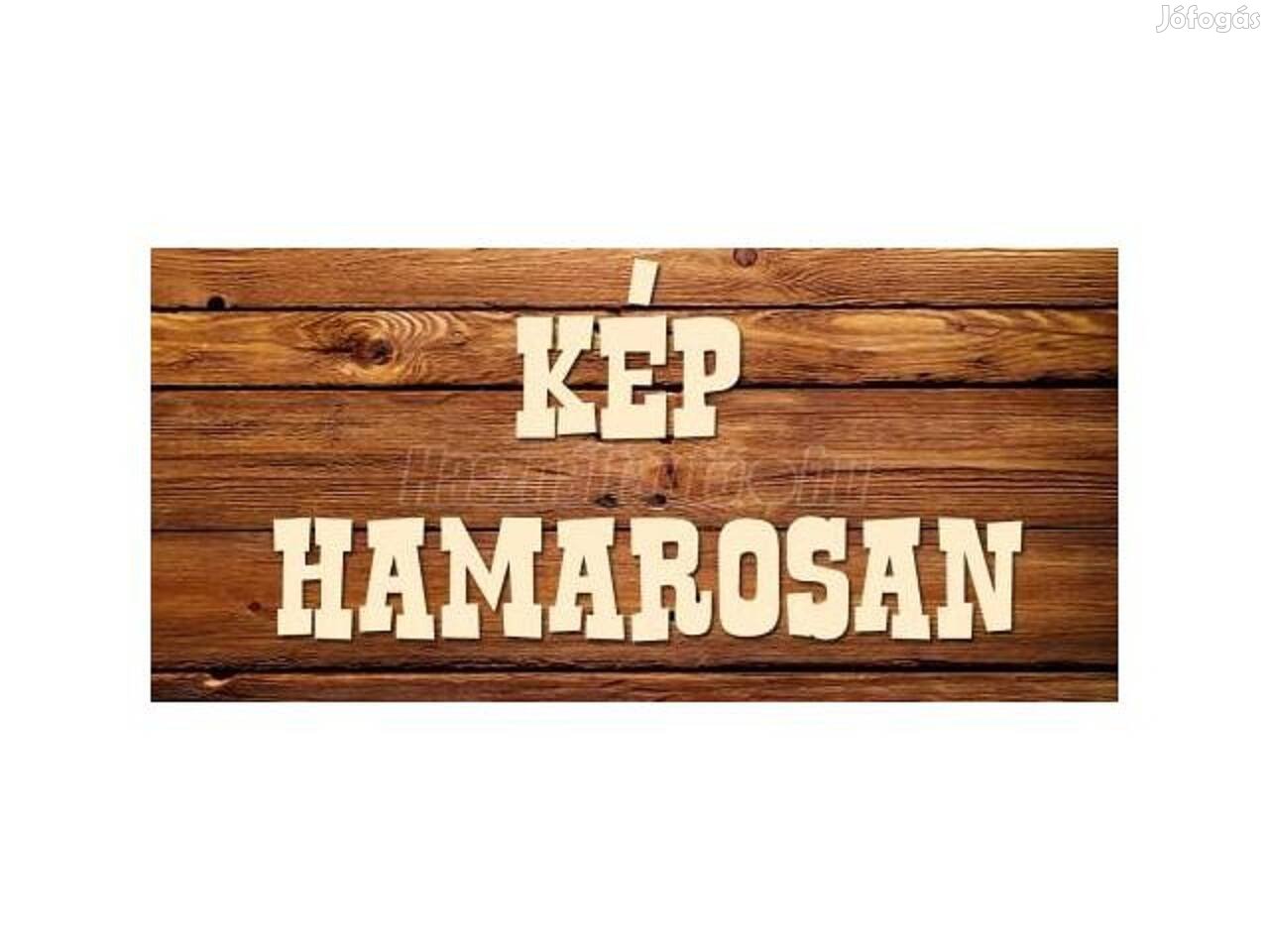 Peugeot 207 ajtózsanér