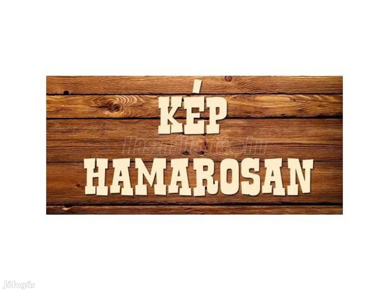 Peugeot 207 pótféklámpa és mosó fúvóka