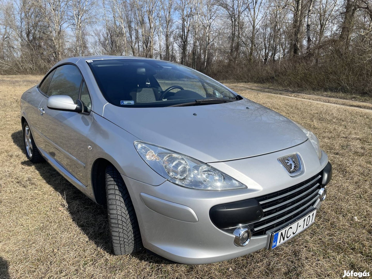 Peugeot 307 cc