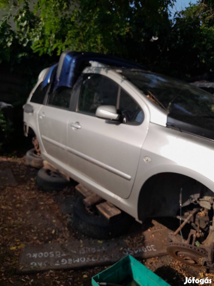 Peugeot 307 sw ajtó