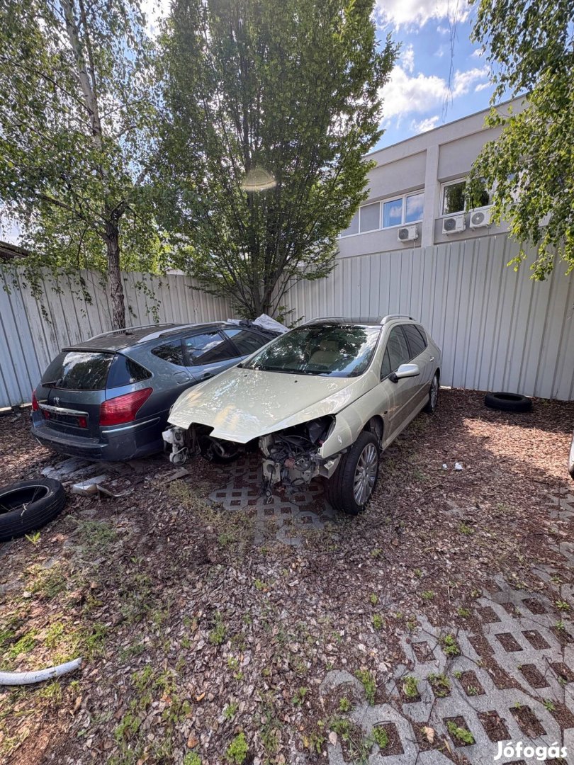 Peugeot 407SW 2.7HDI