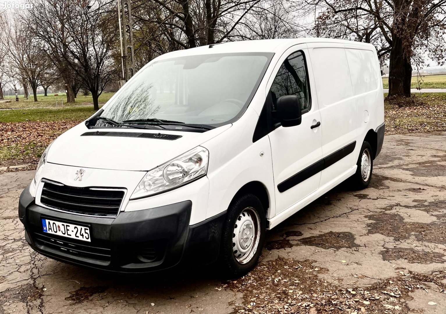 Peugeot Expert 2.0 HDi, L2H1 2014-es, friss vizsgával
