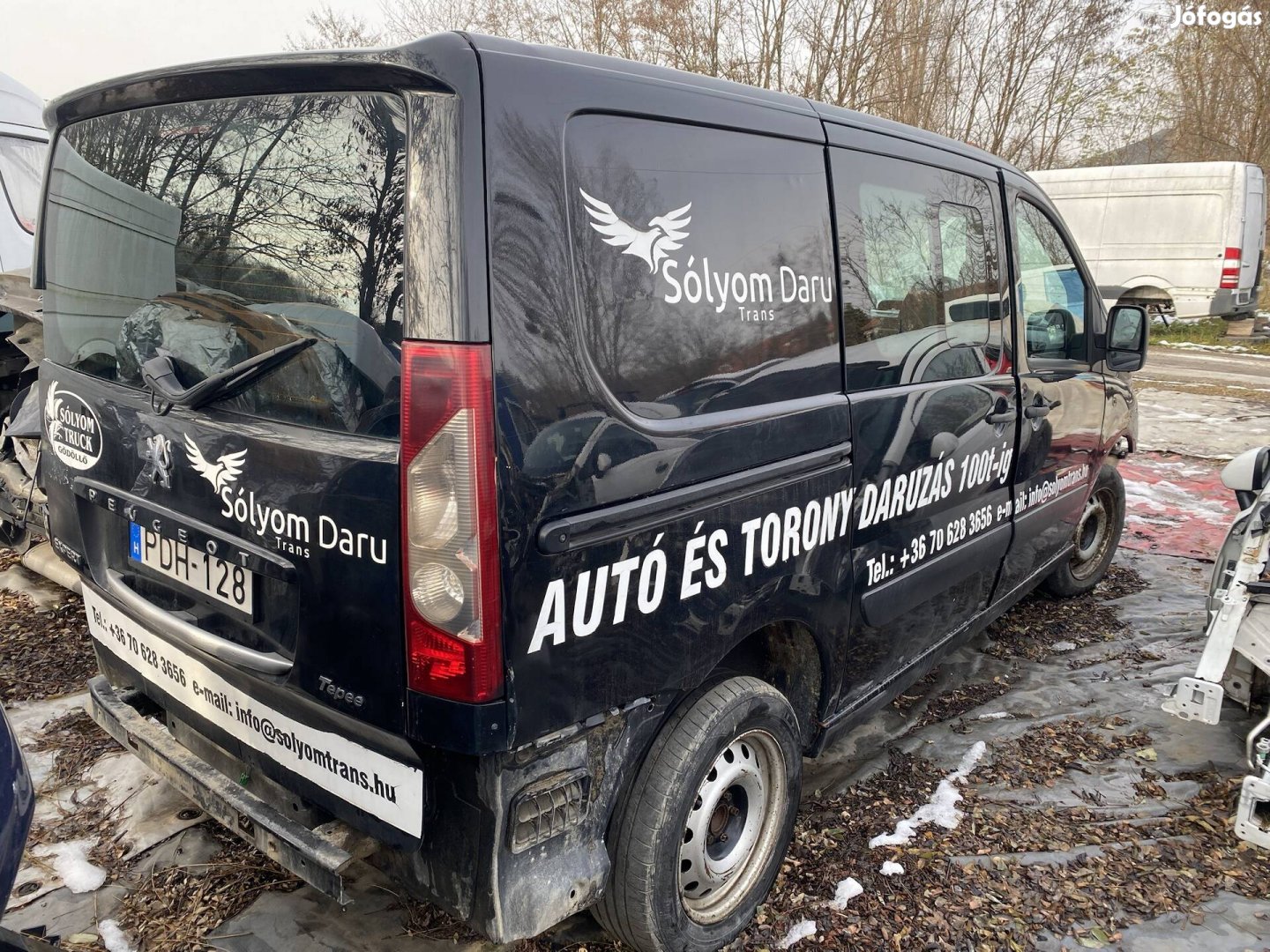 Peugeot Expert Tepee