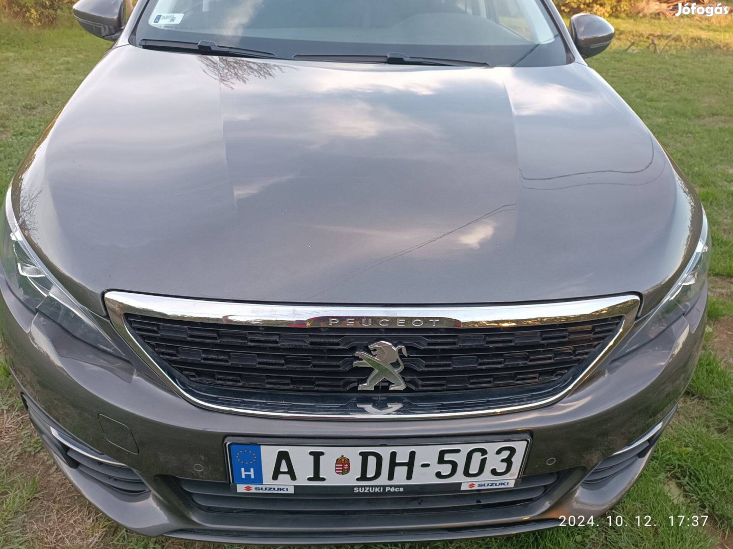 Peugeot L 308