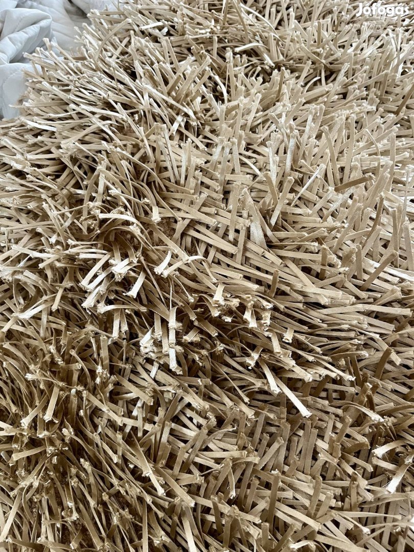 Pezsgőszínű prémium hosszúszálú szőnyeg