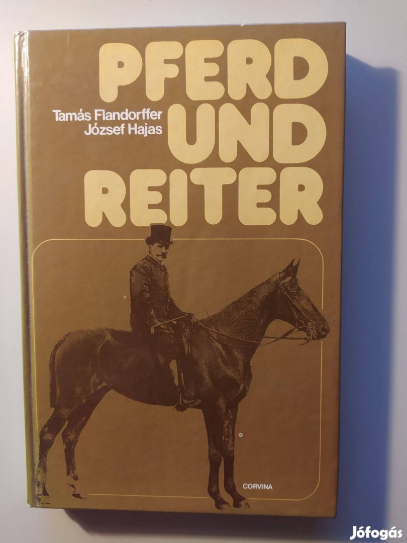 Pferd und Reiter Tamás Flandorffer