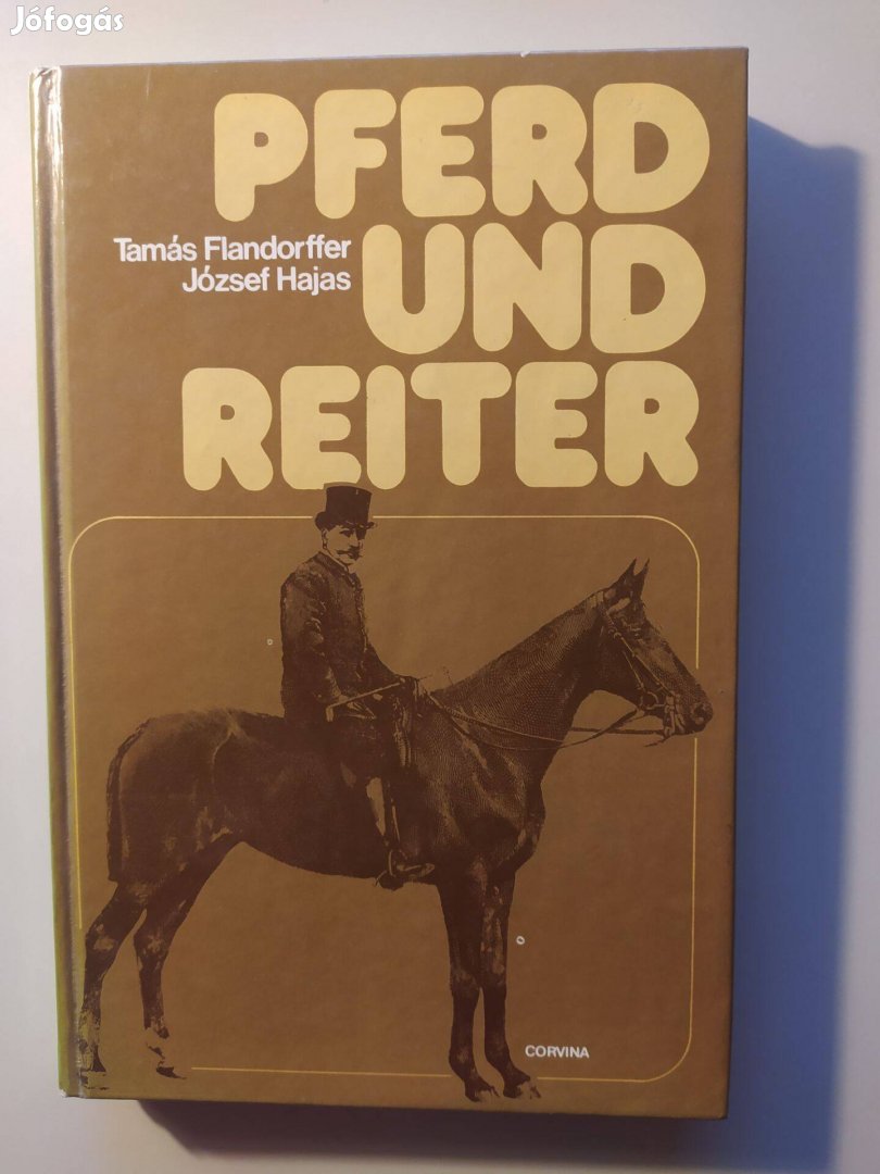 Pferd und Reiter Tamás Flandorffer