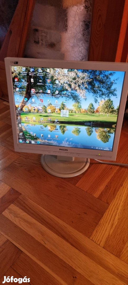 Philips 17" monitor 