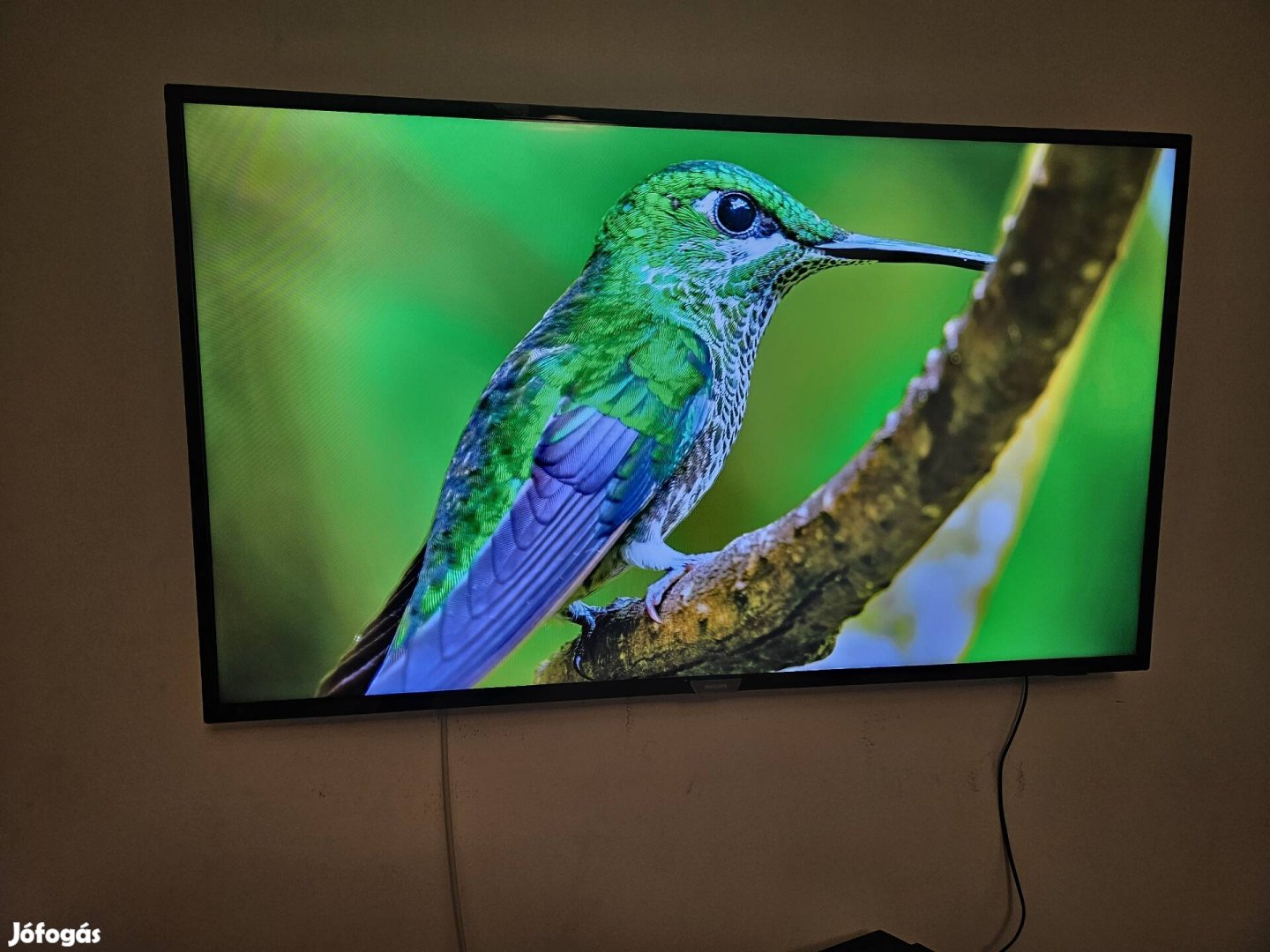 Philips 4k 127cm-es prémium smart tv 