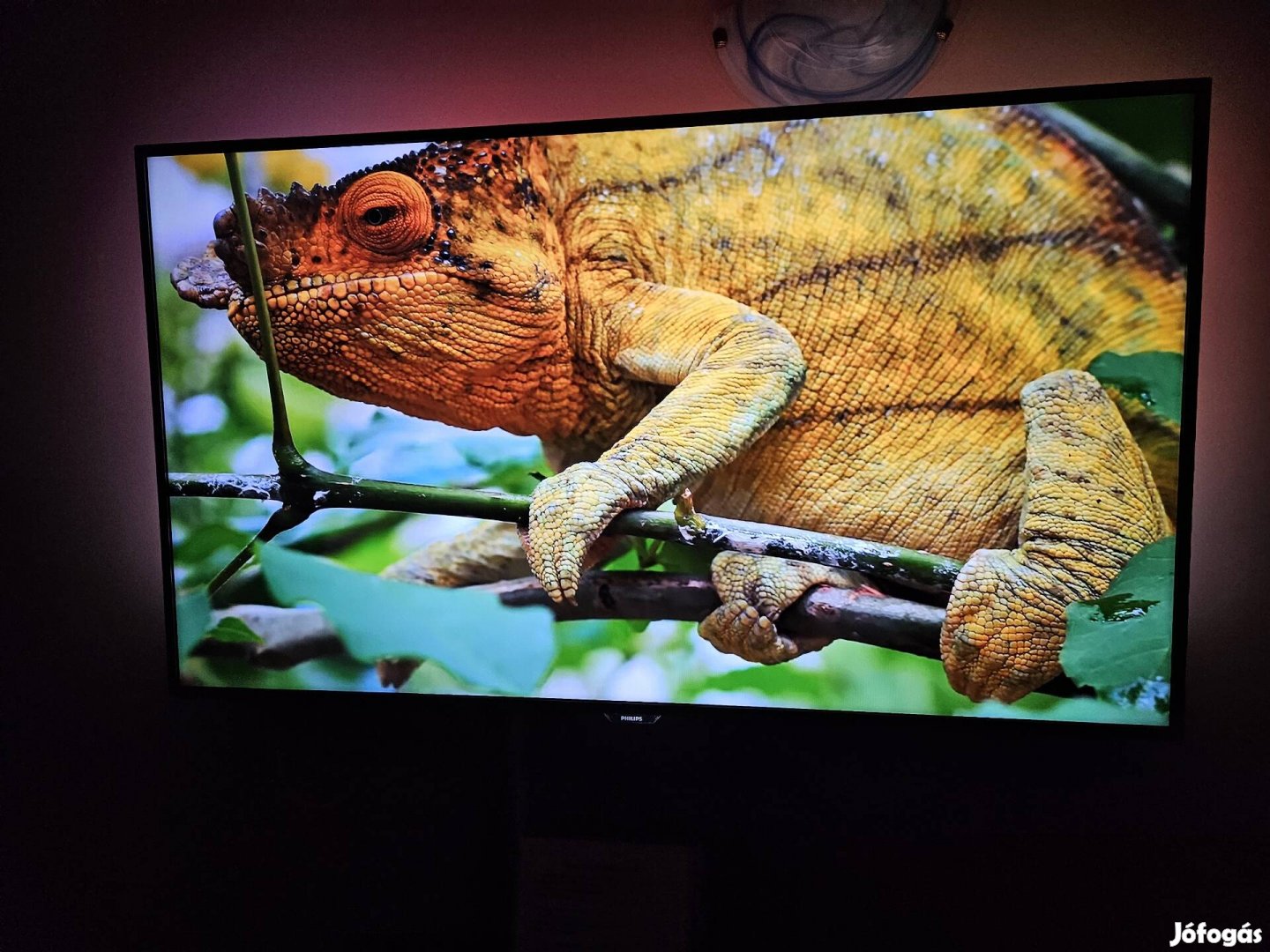 Philips 4k 139cm-es Ambilight Android prémium smart tv 