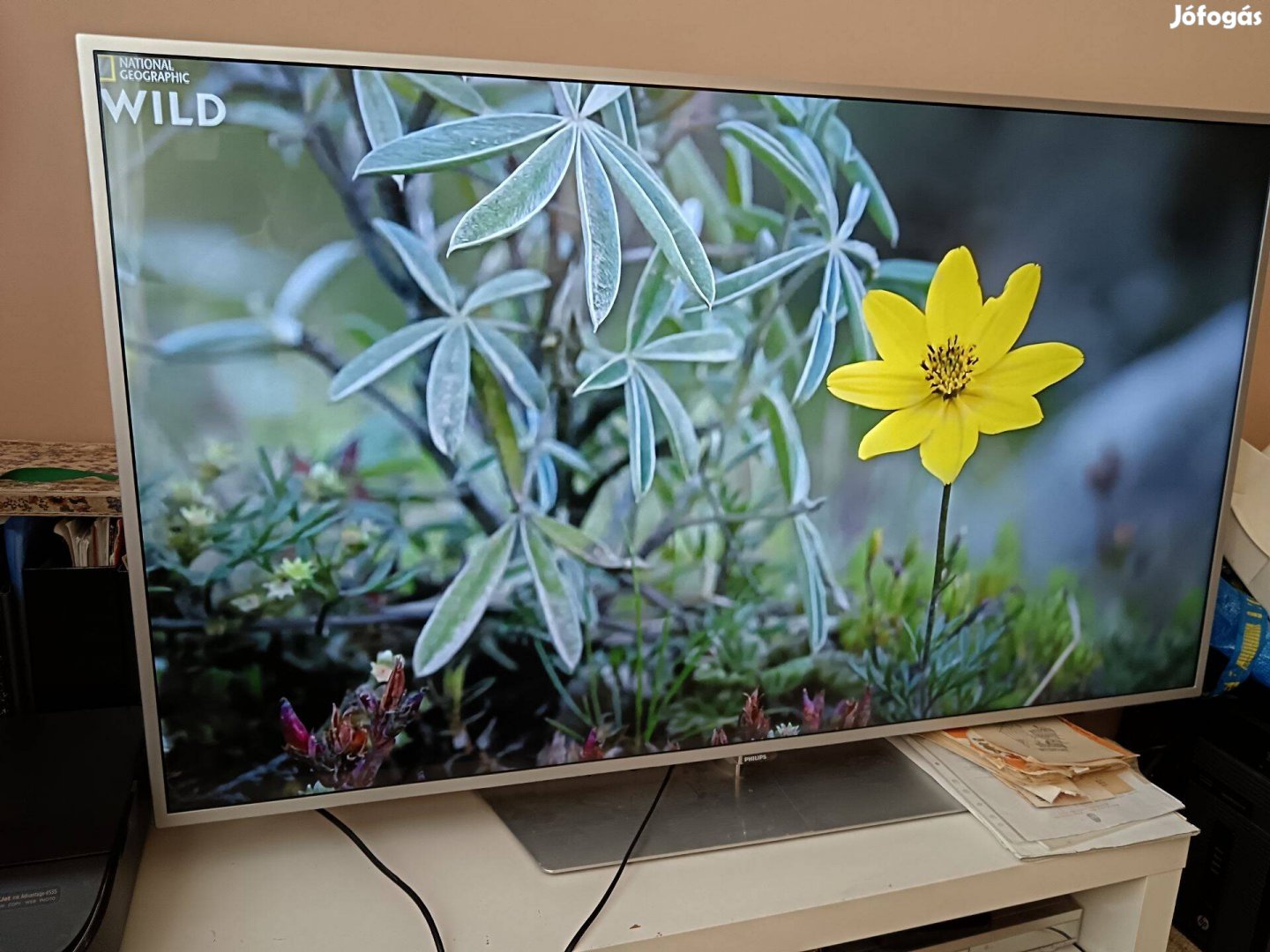 Philips 55"-os (140cm) UHD, 4K, Smart LED TV