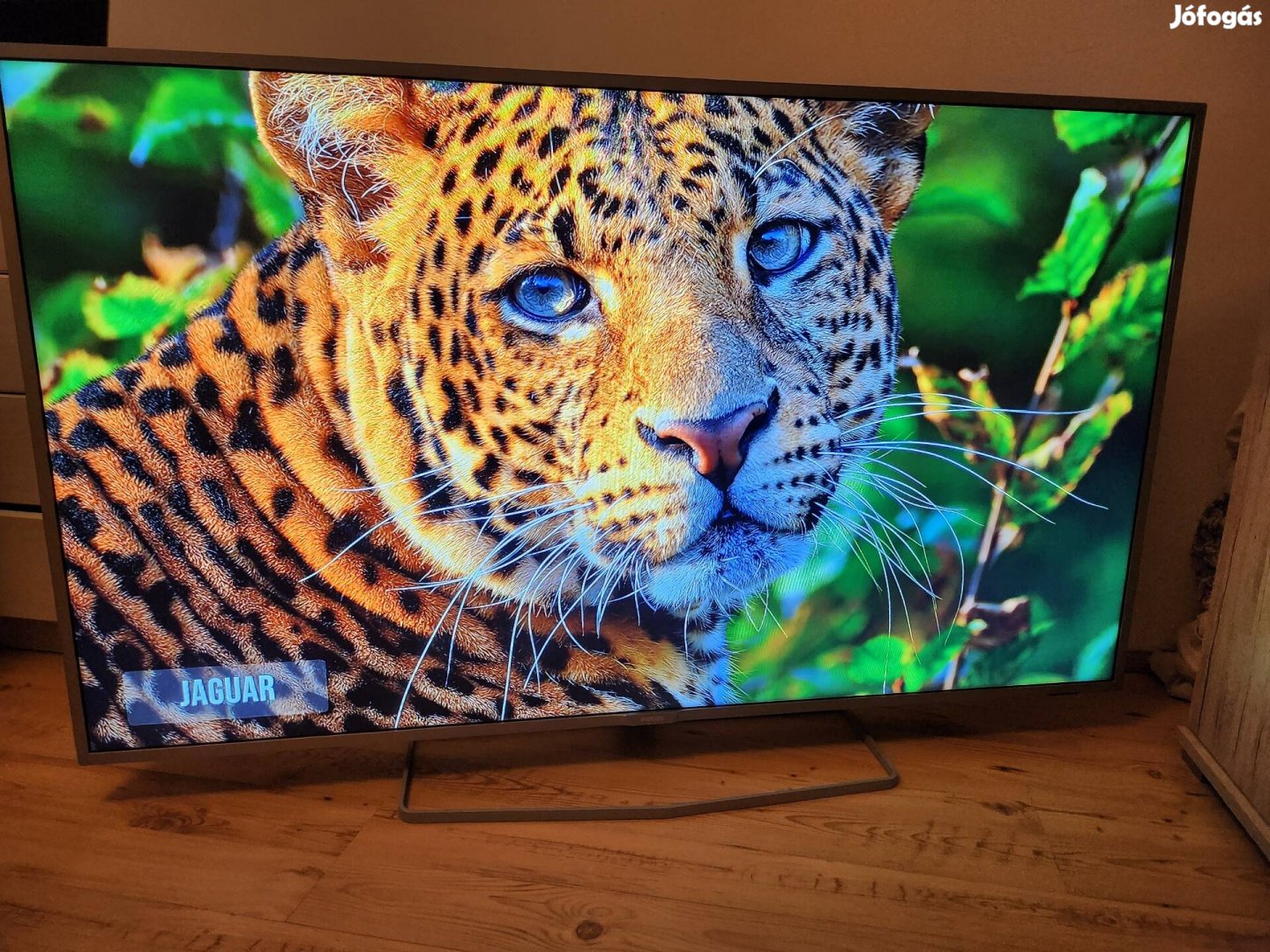 Philips Smart TV 139cm Android / Gyönyörű kép 