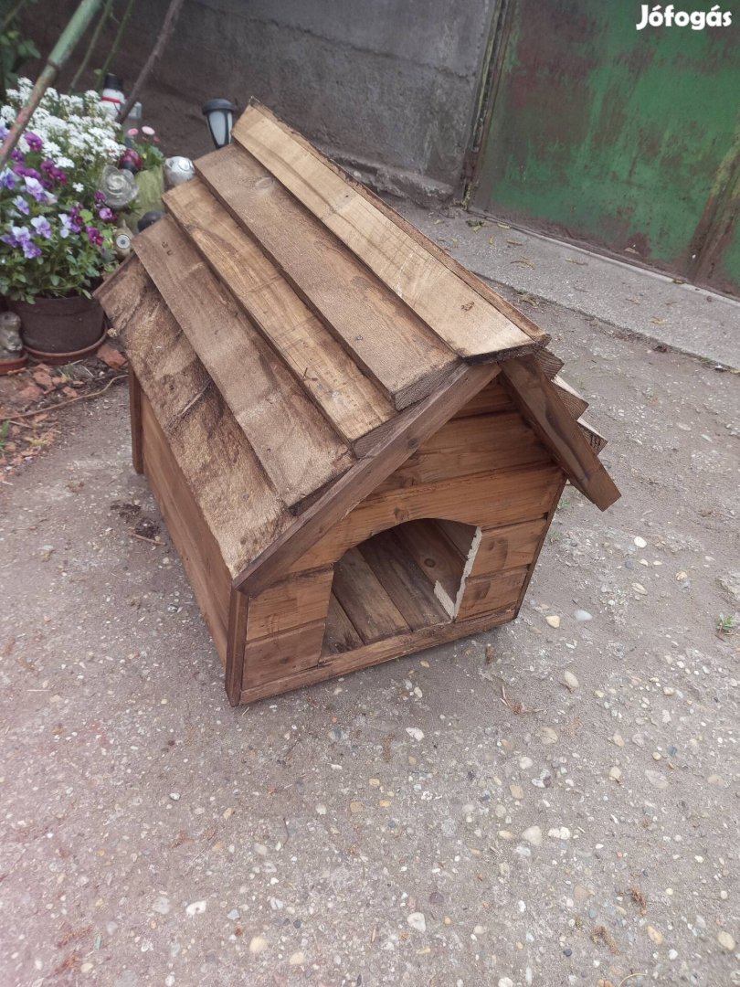 Pici kutyaház