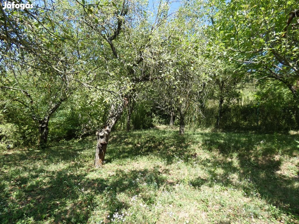 Pilisborosjenő, Pilisborosjenő, 860 m2-es, telek