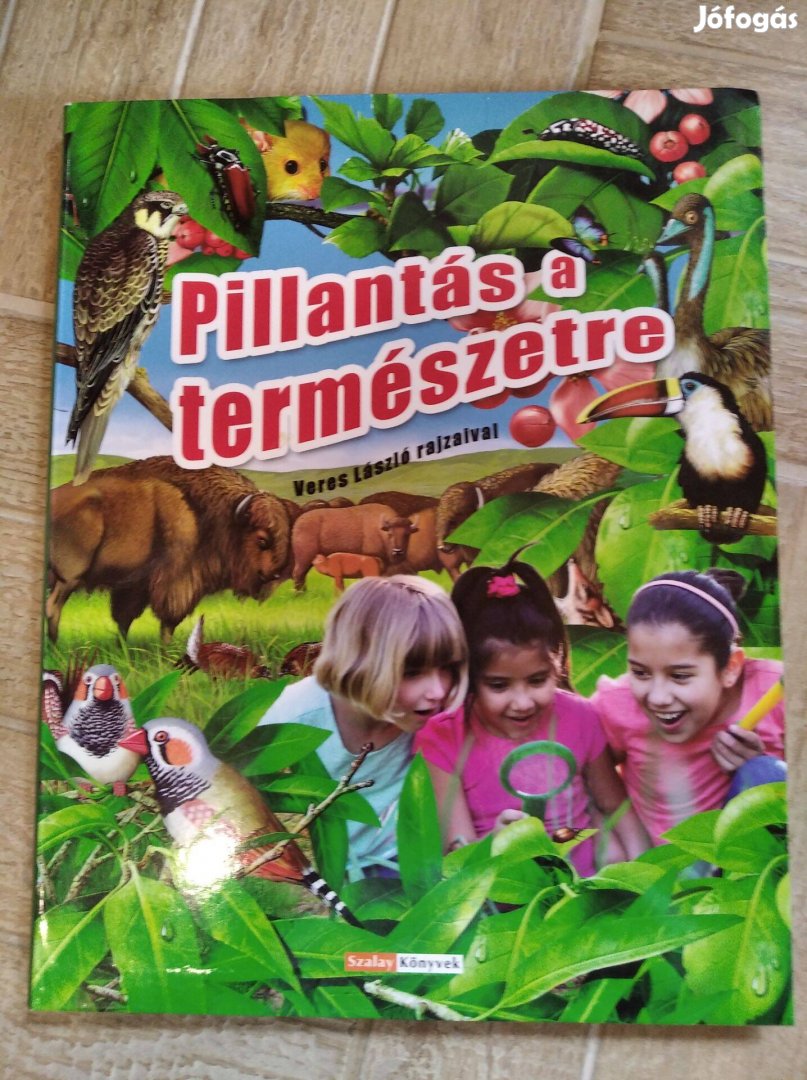 Pillantás a természetre