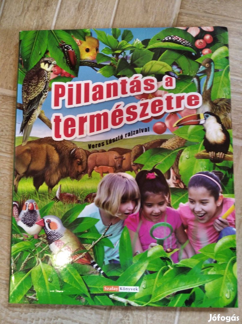 Pillantás a természetre