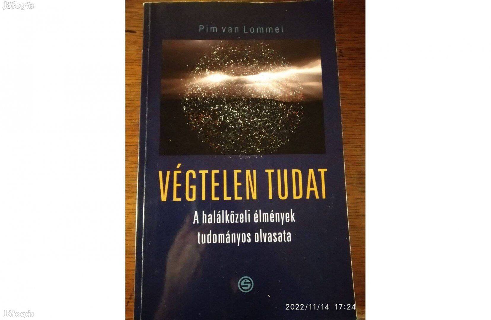 Pim van Lommel Végtelen tudat