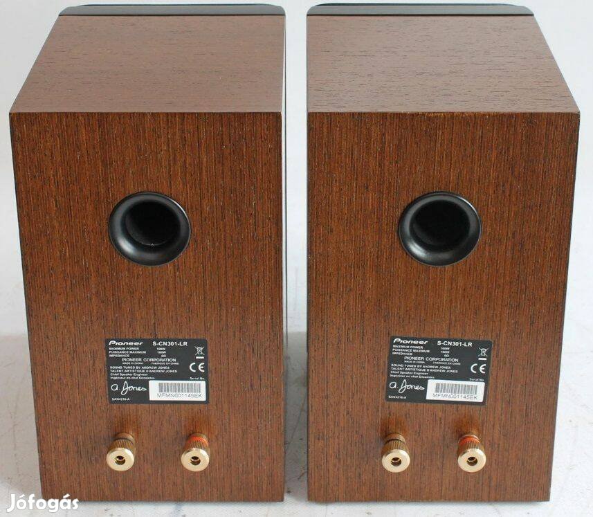 Pioneer S-CN301-LR hangsugárzó pár