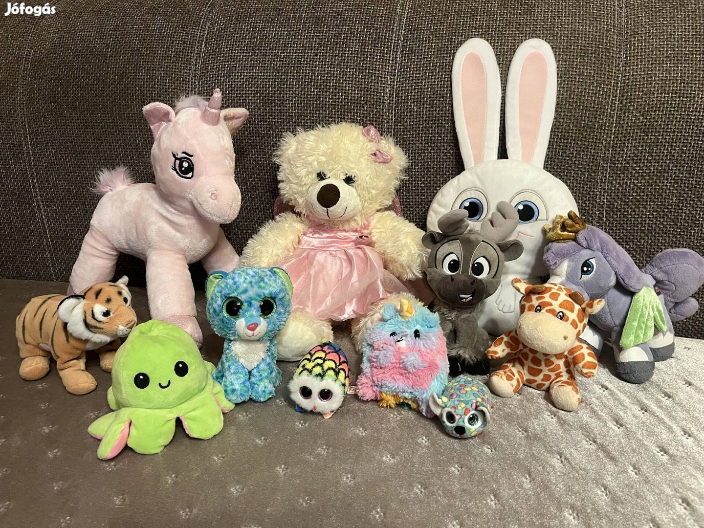 Plüssök, hátizsák, sátor