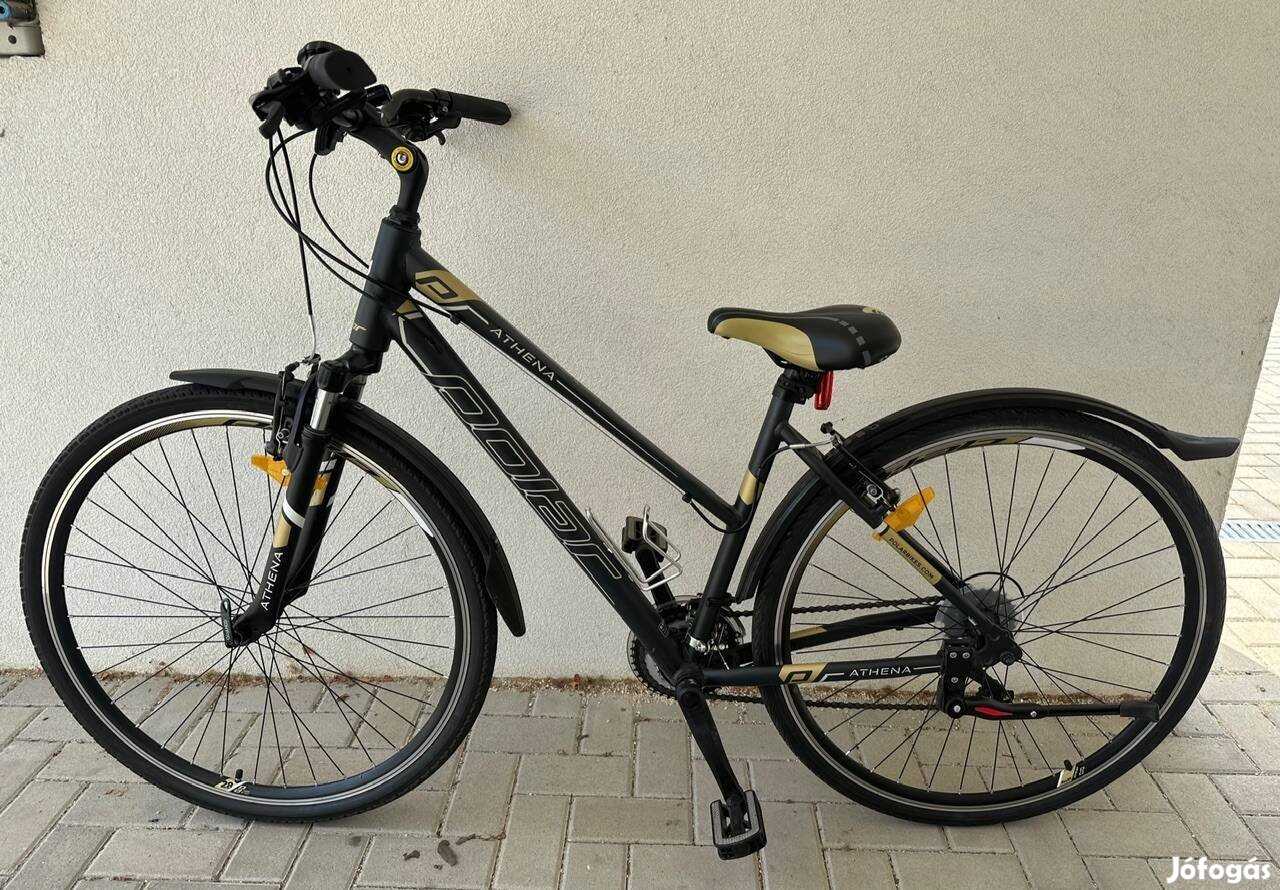 Polar Athena Tracking 28"