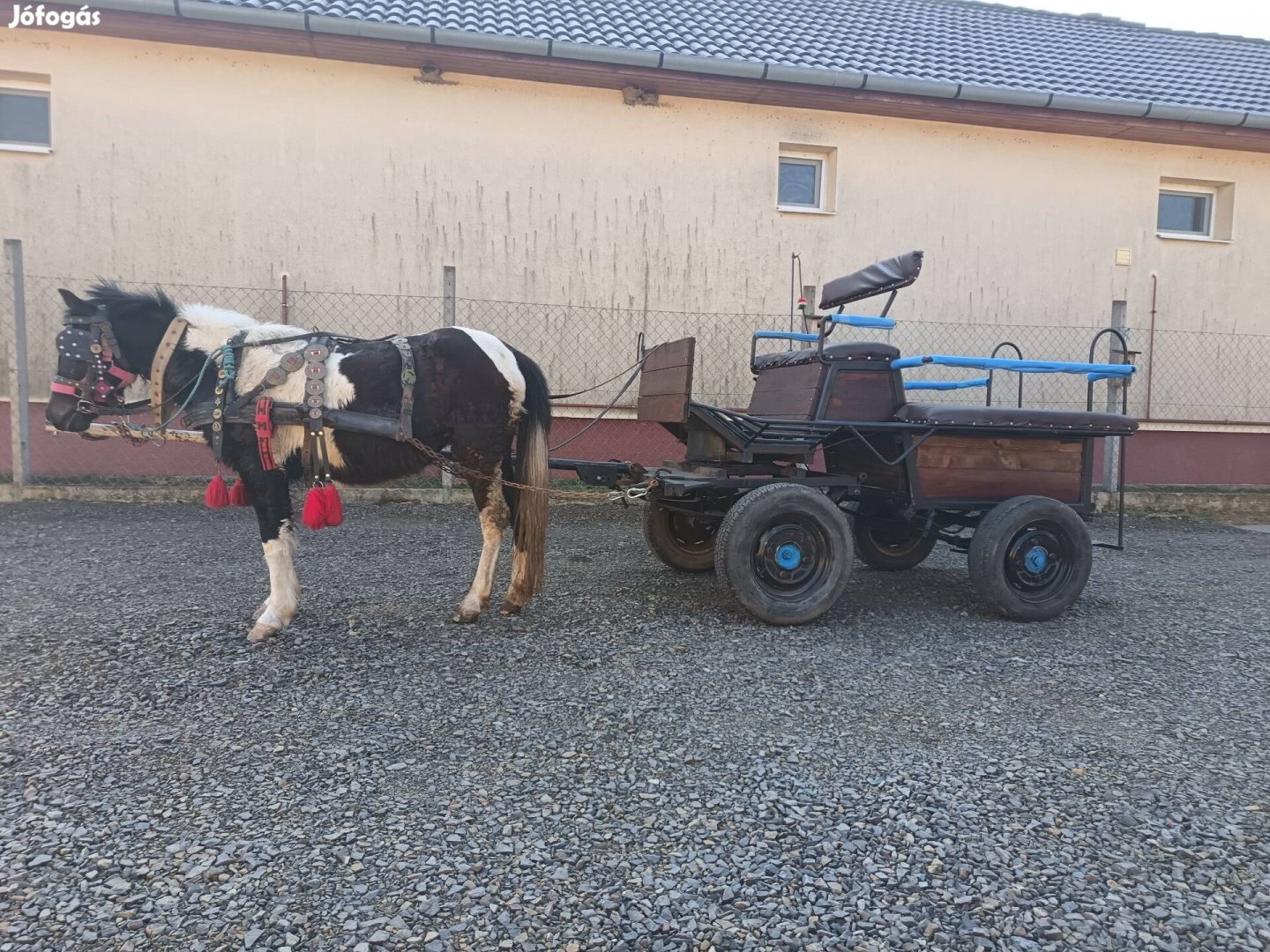 Póni jártató eladó, cserélhető.. 