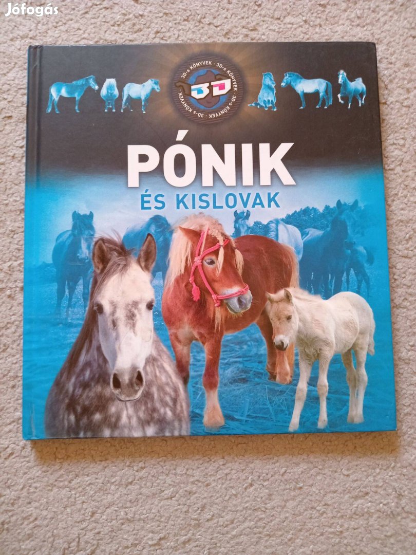 Pónik és kislovak 3D könyv